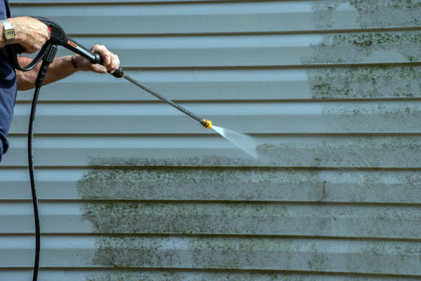 Local Pressure Washing Services in Windsor Heights, IA