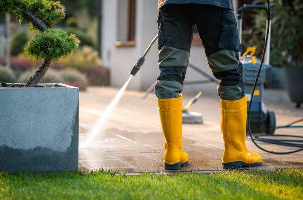 Best Fence Pressure Washing  in Windsor Heights, IA